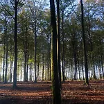 Les Terriers Saint-hubert בית נופש