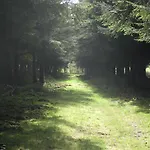 Les Terriers Saint-hubert Hatrival