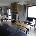 Les Terriers Saint-hubert