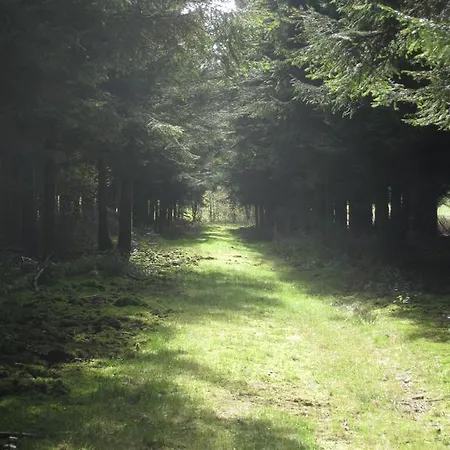 Les Terriers Saint-hubert Hatrival