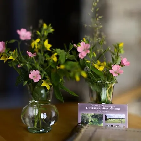 Les Terriers Saint-hubert * Hatrival