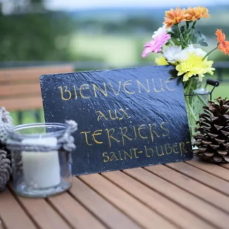 Les Terriers Saint-hubert