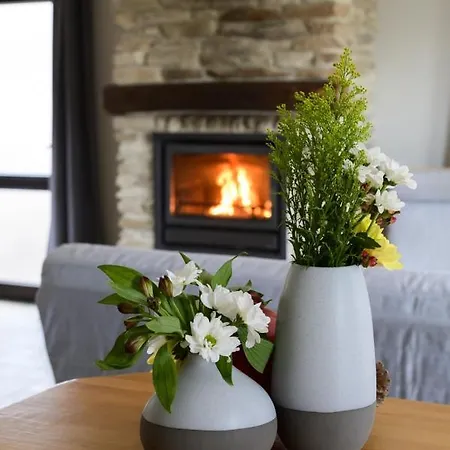 Les Terriers Saint-hubert