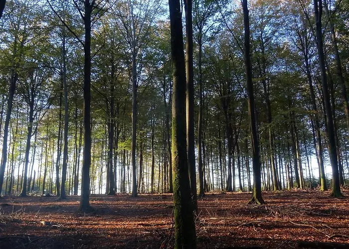 Les Terriers Saint-hubert Holiday home