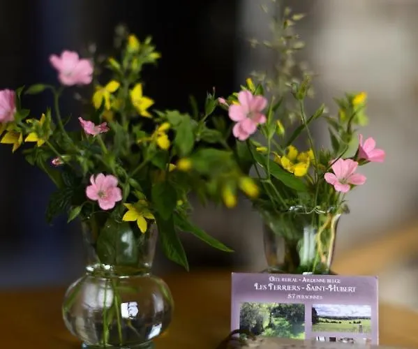 Les Terriers Saint-hubert * Hatrival