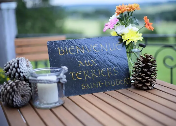 Les Terriers Saint-hubert