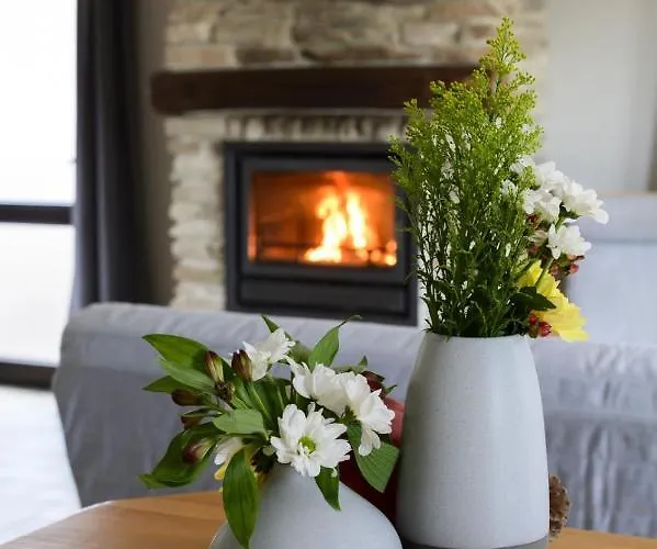 Les Terriers Saint-hubert