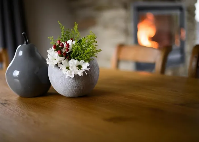 Les Terriers Saint-hubert *